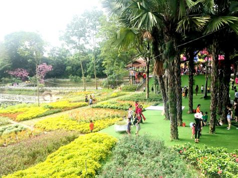 Thu Cúc Garden Việt Trì, Phú Thọ